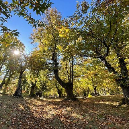 “All'Antica Dogana” Bosco  Exteriör bild